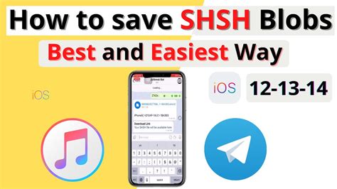 shsh|how to save shsh blobs for any version.